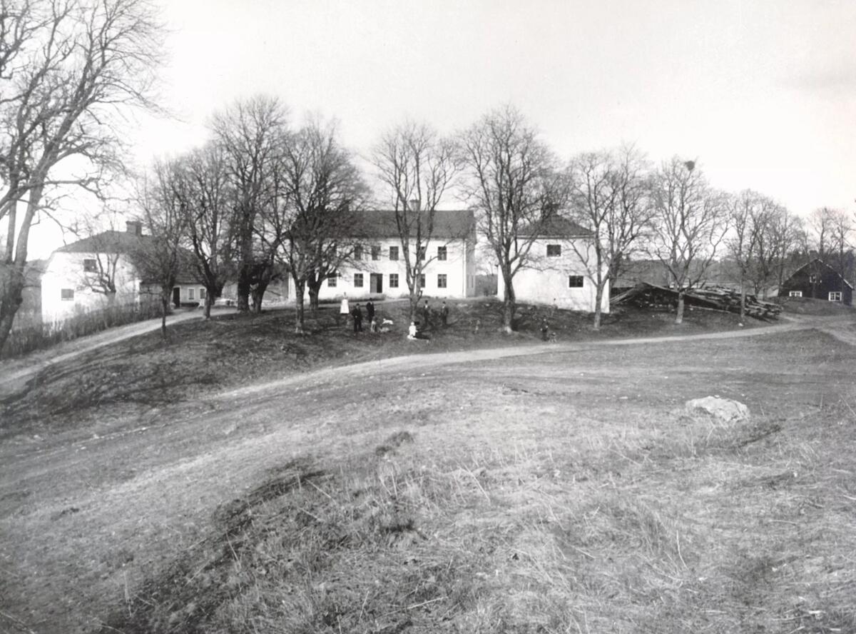 Huvudbyggnaden vid Vidbynäs strax före sekelskiftet 1900. Byggnaden är troligen från 1840 talet, men sina äldsta delar från 1711. Vidbynäs (även skrivet Vibynäs) är omnämnt i handlingar år 1291 som Wiby och på 1696 års karta över Öknebo härad som Wijdeby, visat som ett mindre säteri.

Adelssläkten Elgenstierna ägde Vidbynäs och många kringliggande byar och gårdar från tidigt 1700 tal till 1897, därefter följde flera godsägare, brukspatroner och disponenter. Författaren Sigge Starks, alias Signe Björnbergs, föräldrar Petersén ägde Vidbynäs mellan 1898 och 1903. Även om det var i hennes unga barnaår så kom kanske några intryck att avspegla sig i hennes många böcker. 

En personlig berättelse om Vidbynäs av Ingrid Knutsson finns i Torshammaren 2000, om "Vådaskottet på Vidbynäs" har Bertil Sturk skrivit i Torshammaren 2005 och lite om trädgårdodlingen på Vidbynäs finns i Torshammaren 2011. Samtliga årgångar finns att läsa på Turinge-Taxinge Hembygdsförenings hemsida.
bild se_ab_tthf_0264_1 är en karta från brandförsäkringen för Vidbynäs kvarn för år 1865
 ::