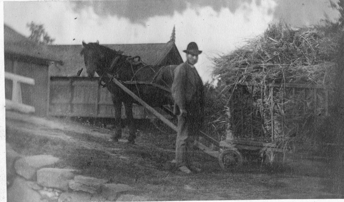 Foto av gårdsarbeider med hest og vogn, antagelig på Dal gård. Trolig på slutten av 1870-tallet eller tidlig 1880-tallet