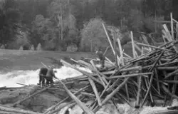Fløtere i arbeid med å løsne tømmerhaugen som hadde bygd seg