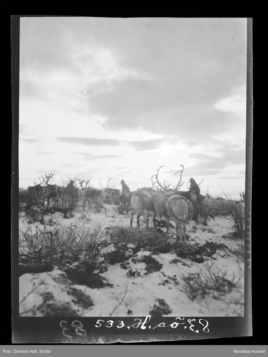 Raider, renar, och människor på högfjället, innan vinterflyttningen fortsätter. Troligen vid Laimo. Bilden ingår i en serie fotografier tagna av Emilie Demant Hatt i Sapmi mellan åren 1907 och 1916.