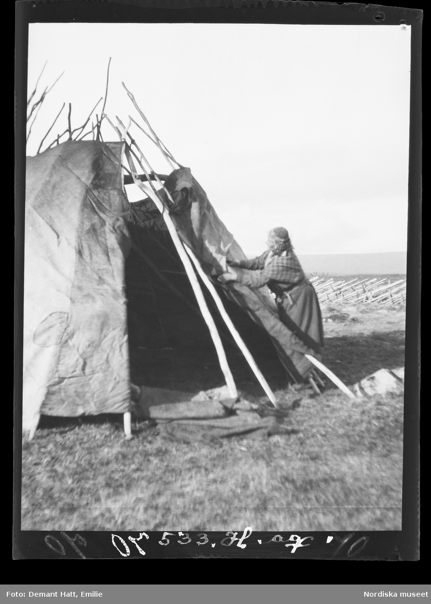 En kvinna, Siri (Sara Turi), sätter upp kåtan i Kattovuoma under vinterflytten 1907-1908. Troligen vid Laimo. Bilden ingår i en serie fotografier tagna av Emilie Demant Hatt i Sapmi mellan åren 1907 och 1916.
