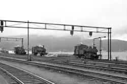 Damplokomotiver type 25 i skiftetjeneste på Trondheim stasjo