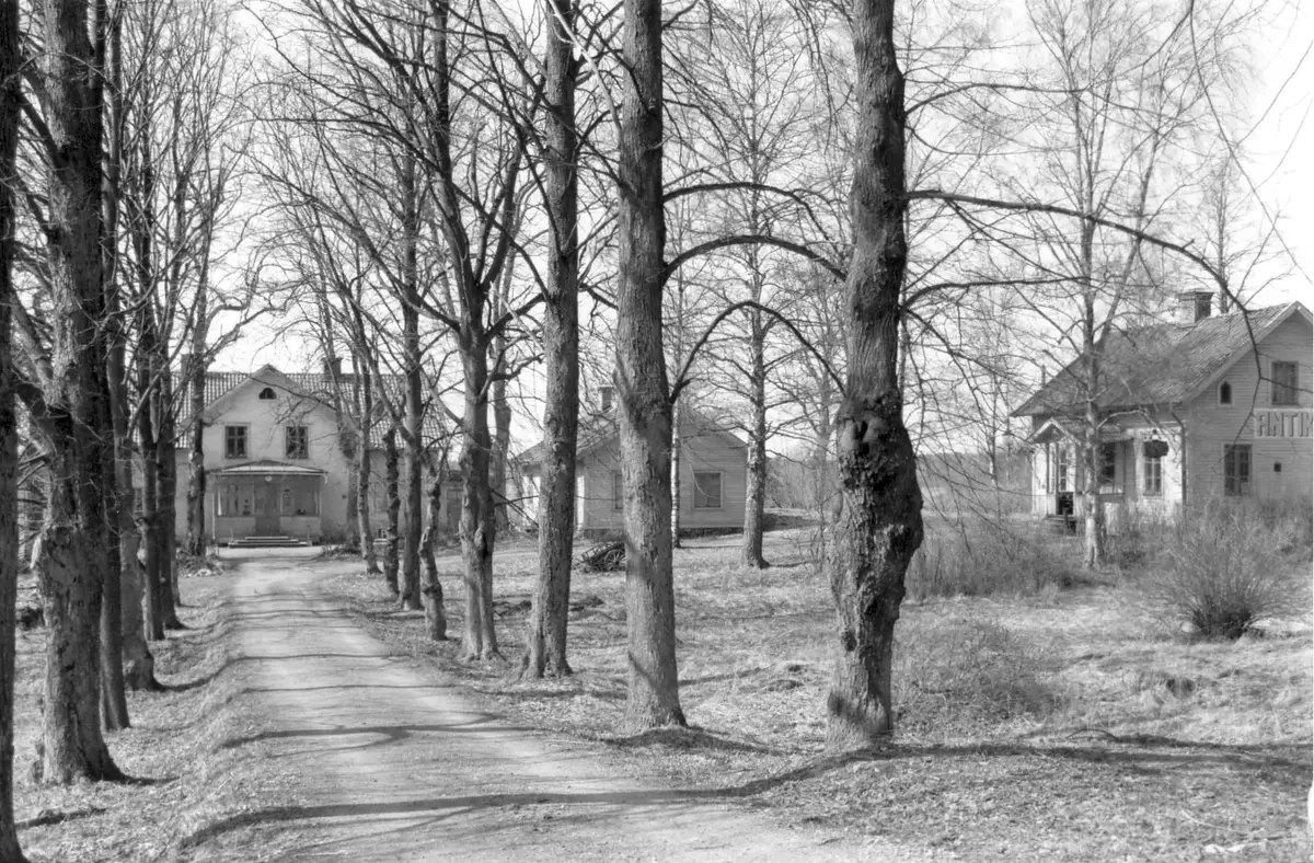 Ängby gård 1992