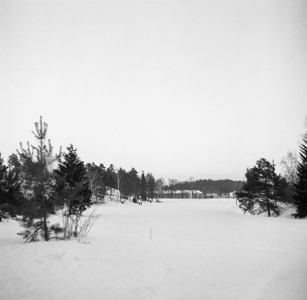 Bilden tagen från Flottiljvägen och visar husen mellan Djursholmsvägen och Slottsvägen i fonden.
Observera att i högra kanten går den å som kommer från ängarna vid Galoppfältet och som numera är täckt.