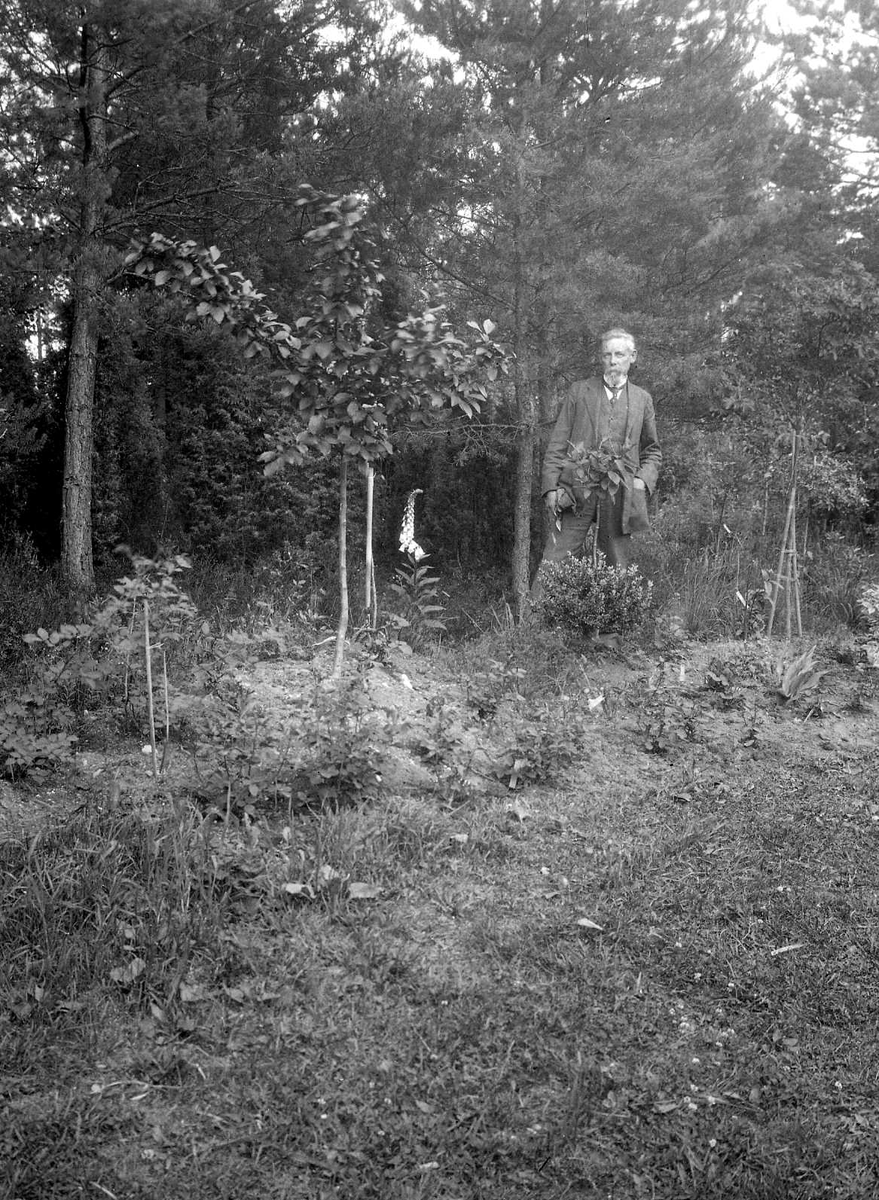 Porträtt av en man i en trädgård i en skogsglänta.