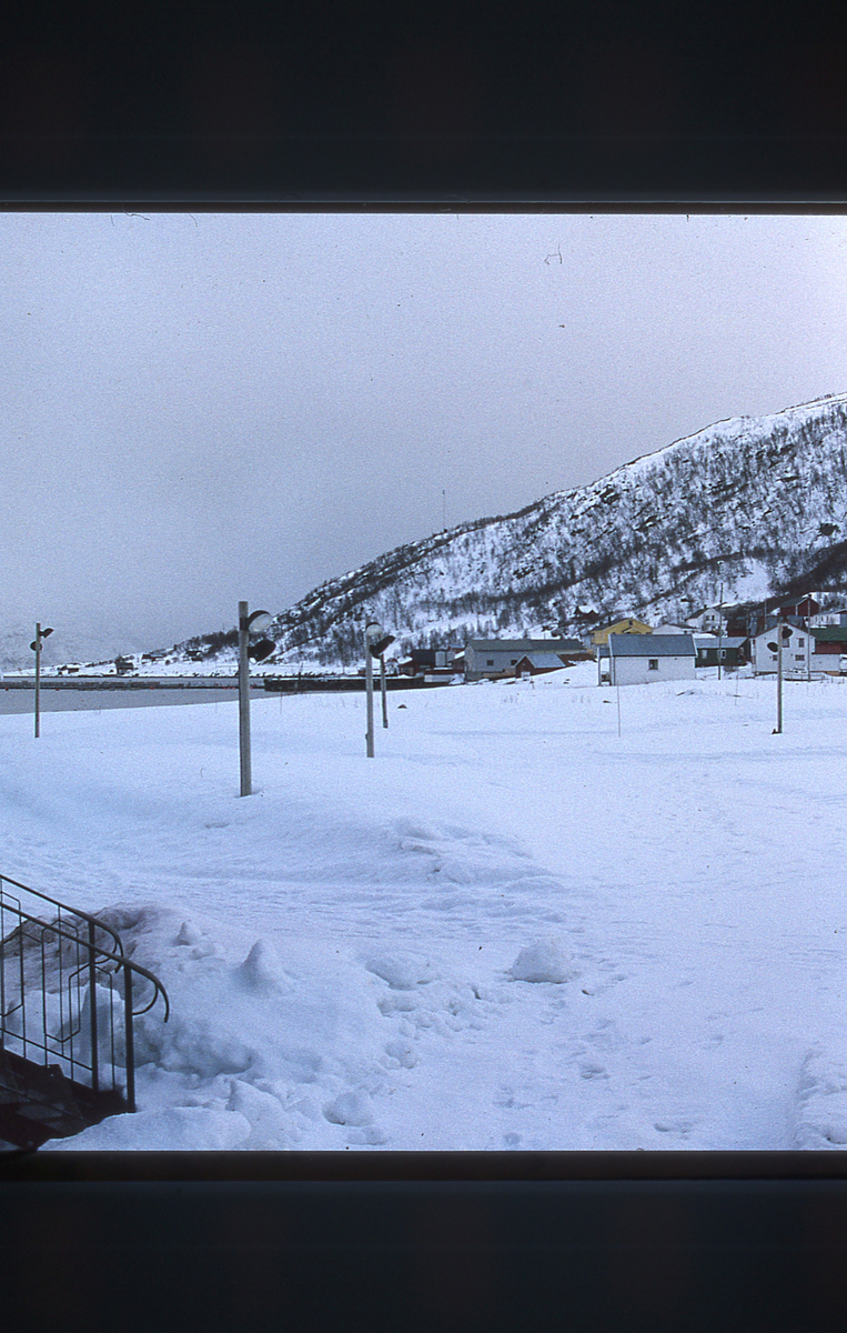 Forsøksanlegg, Kårvika på Ringvassøy, UiT (1994) : Prospektbilde, kystlandskap og bebyggelse.