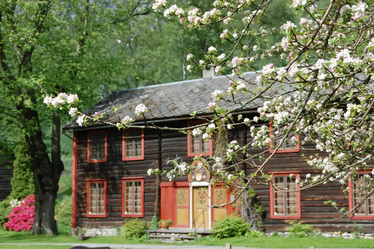 Bilde av hovedhuset på Leikvin, med epleblomster i front