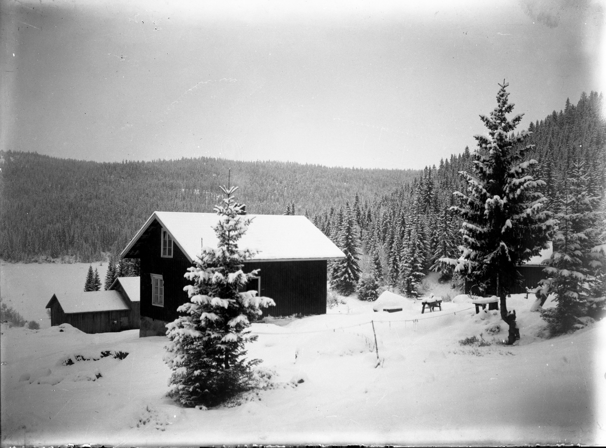 Landskapsmotiv med småbruk i vinterlandskap.

Fotosamling etter fotograf og skogsarbeider Ole Romsdalen (f. 23.02.1893).