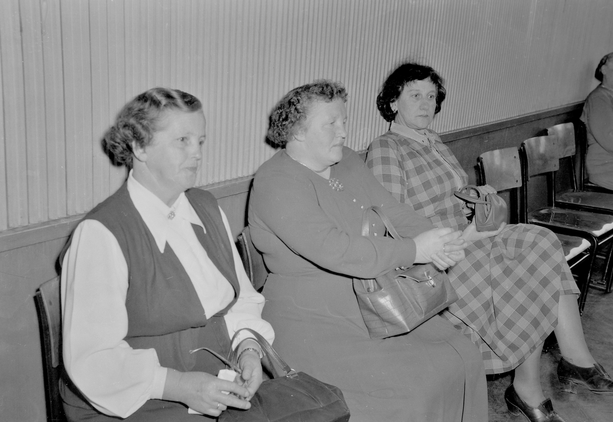 Sør-Trøndelag arbeiderparti. Kvinneutvalget, årsmøte 1954