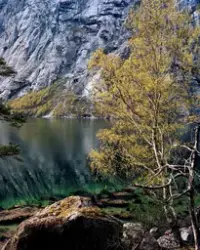 Worried Landscapes (Simadalsfjorden i Eidfjord) [Metall]