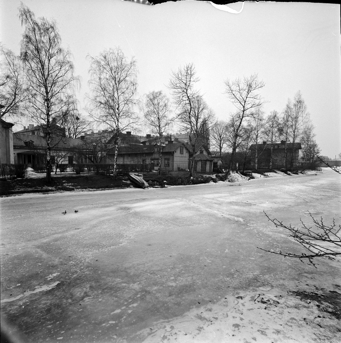 Gammal bebyggelse vid Fyrisån, Uppsala 1955