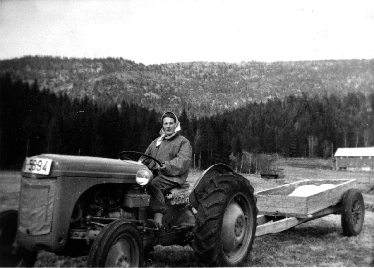 Åmlibilder samlet av Åmli historielag
Tone Smeland på første landbrukstraktor