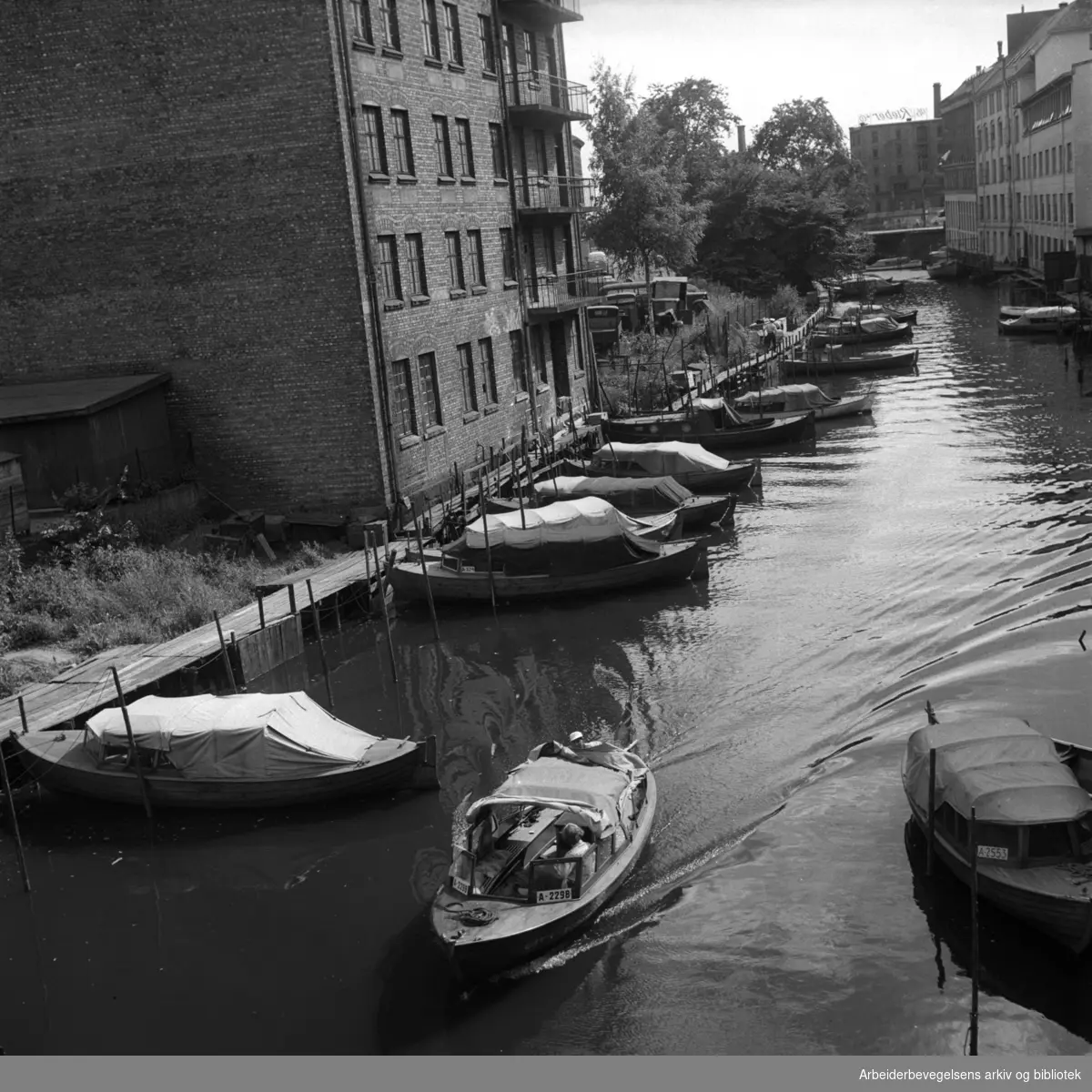 Båter ved Vaterland,.juli 1955
