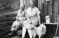 Bildet er tatt på trappa på Kvamsetra.....