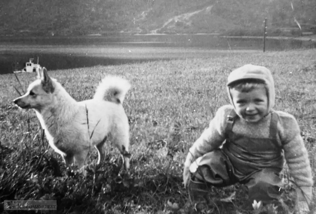 Aslak Øveraas 3 år gammel i lag med hunden "Tuvsa". Aslak f. 1954.