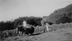 Høyonn på prestegården...(Se Romsdalsmuseets årbok 2001)