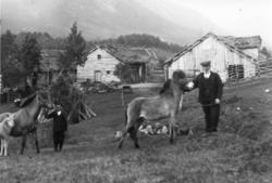 Far til Jakob Kirkhorn, Anders A Muldsvor var gårdbruker her