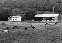 Nr.34. .(Bilder brukt i "Gards- og ættesoge for Nesset").