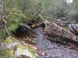 Inntaket av vatnet fra elva..Ved saga til sagmeister Paul Aa