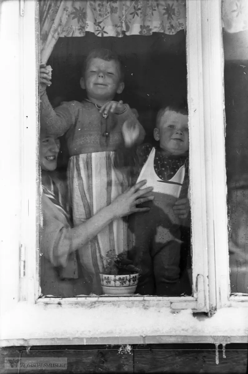 "Våren 1955". .I kjøkkenvinduet.