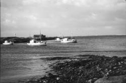 Frå Male, Askvågen (Askevågen) etc søndag 03.01.1954.