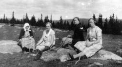 4 damer på setra. Presterud hadde gammel seterrett på Tom og