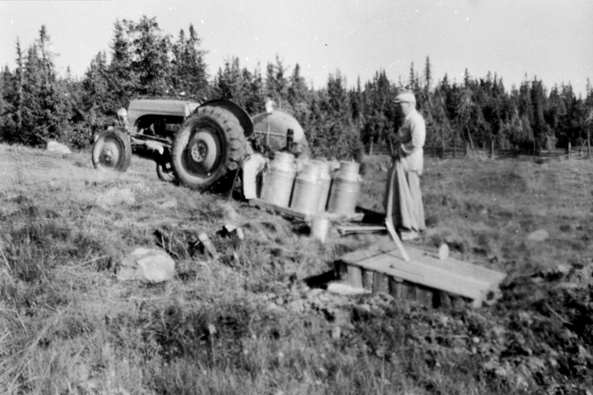 Traktortransport av melk til avkjølingskum på Moste seter i Almenningen. Erik Jevne fra Leine østre kjører. Traktoren ble også brukt til vakumpumpe til melkemaskinen.