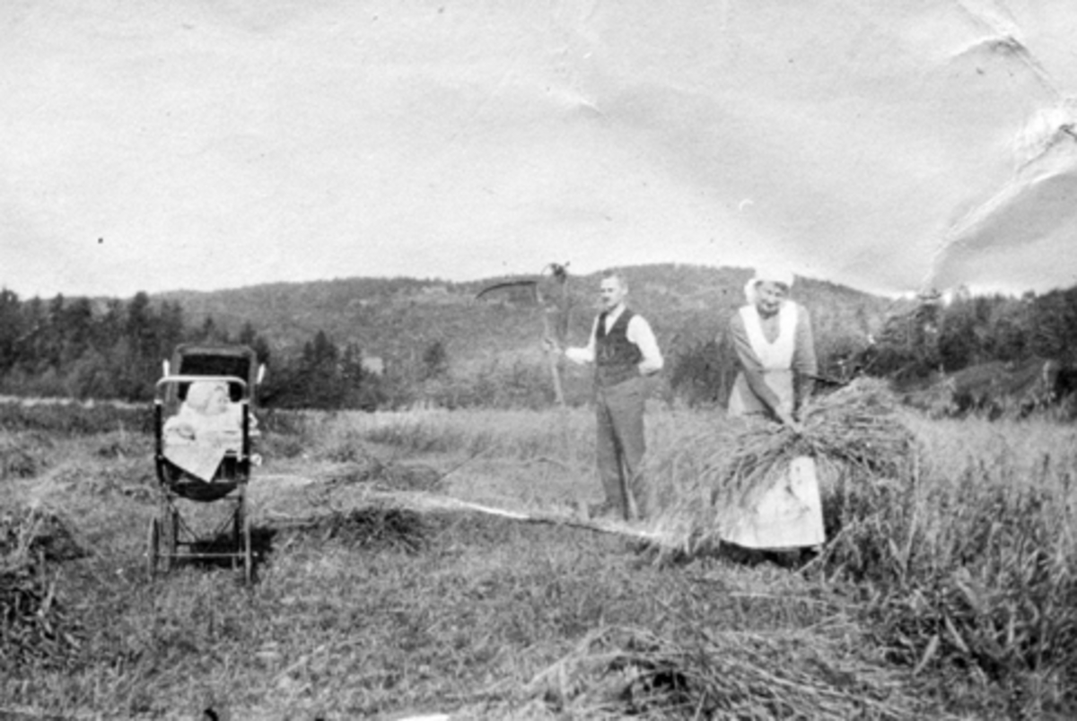 Skuronn på gammeldags måte på Penningrud lille, Stavsjø, Hedmark. Lærer Johan Torud (1880-1963) med ljå og Borghild Torud (1890-1946) binder kornband. Minnie Johanne f.1917 i barnevogn.