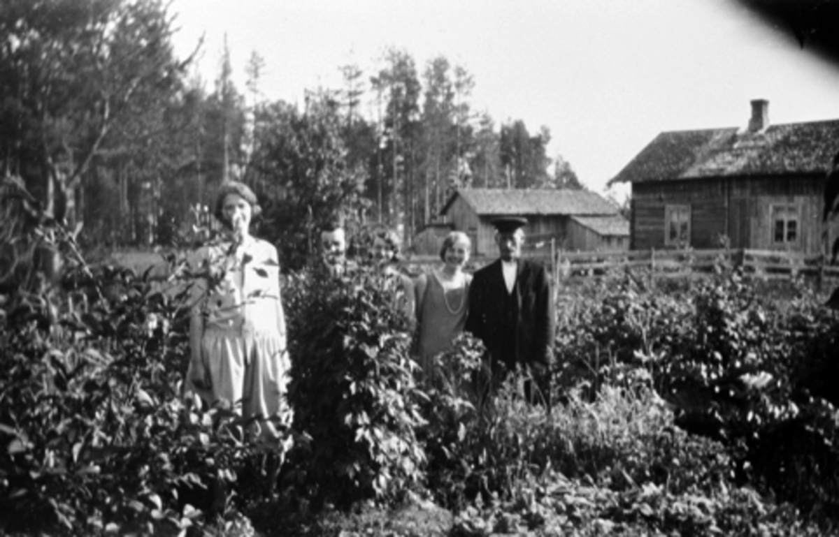 Ole Olsen Bakke, Ole postmann med tre av sine døtre. Nersnippen, Veldre, Ringsaker.