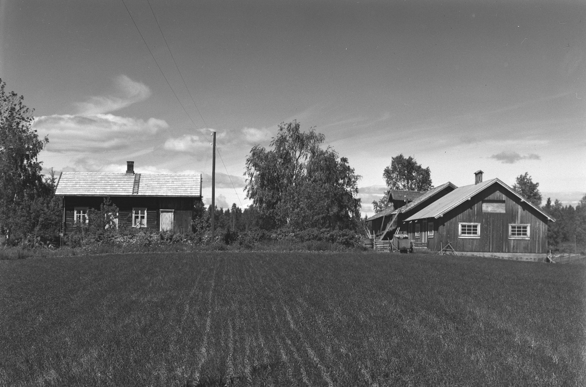 EKSTR: GARDSTUN, ENGEMOEN. Se Løtenboka, Bygdebok fra 1953 bind 2. side 608