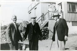 Jakobsen, Peter Rasmussen og Forberg, 1950.