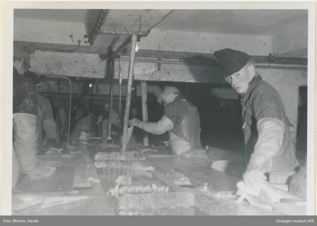 Fisken flekkes, filetfabrikken på Finotro, 25. januar 1956