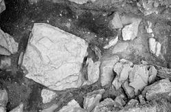 Arkeologisk undersøkelse i grøft Storhamarhagen 1970. Rester