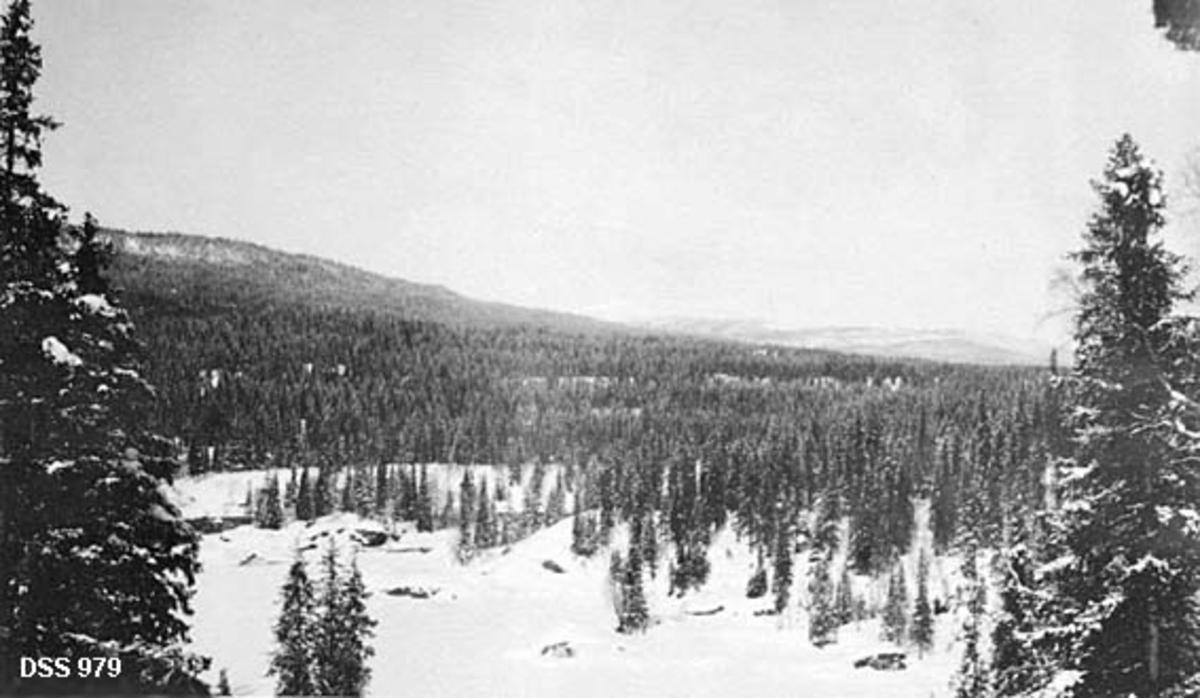 Vinterlandskap i Nedre Korgen statsskoger.  Fotografiet er tatt mot et delvis is- og snødekt elveleie, omgitt av åser med granskog. 