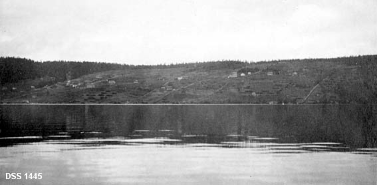 Oversikt over innsjøen Ulen med Skåle-gardene i lia på motsatt side av vatnet.  På bakkekammen bak gardene gror det granskog. 