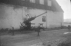 Bofors lutvernmaskinkanon ved Melhus P.V.batteri