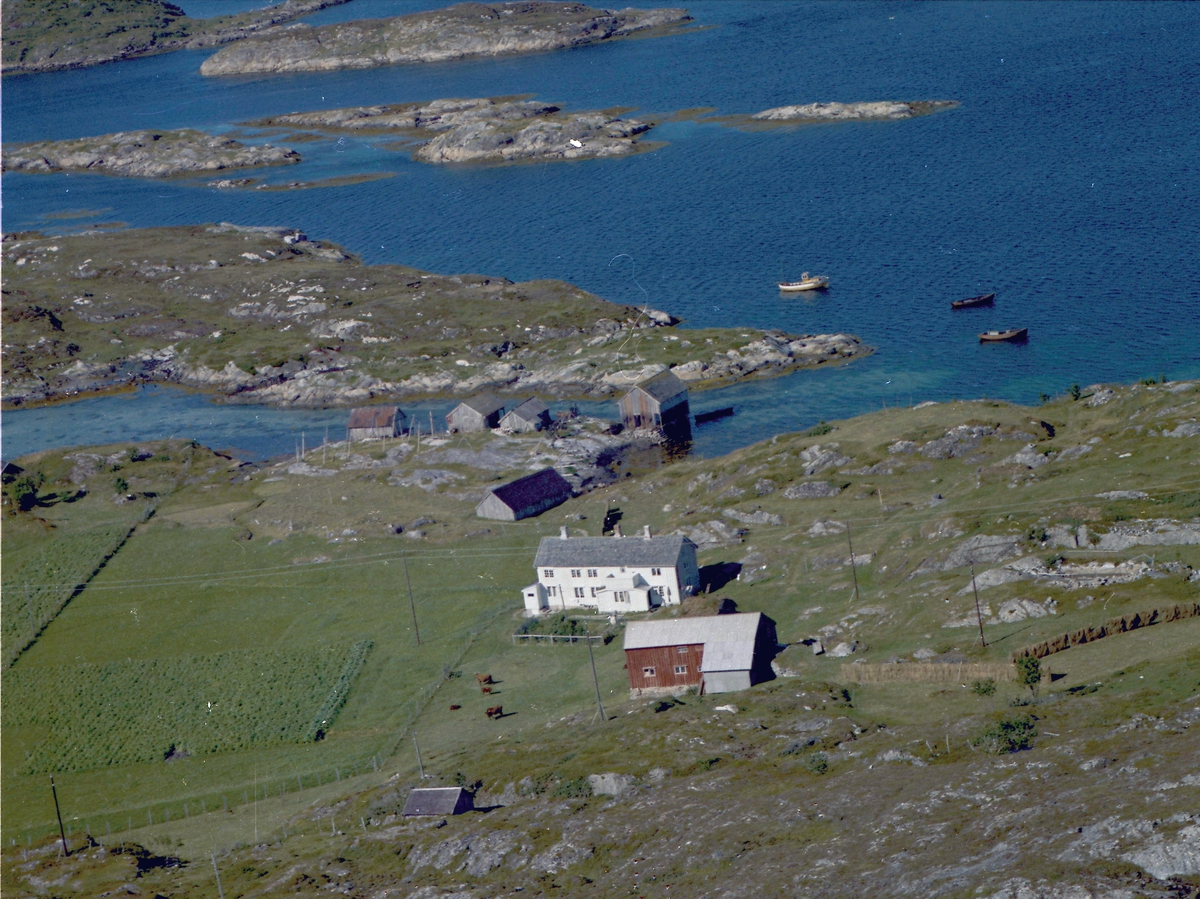 Eiendommen Hjertøya