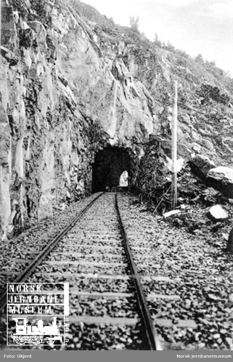 Linjeføringen mot Koabjørgen tunnel