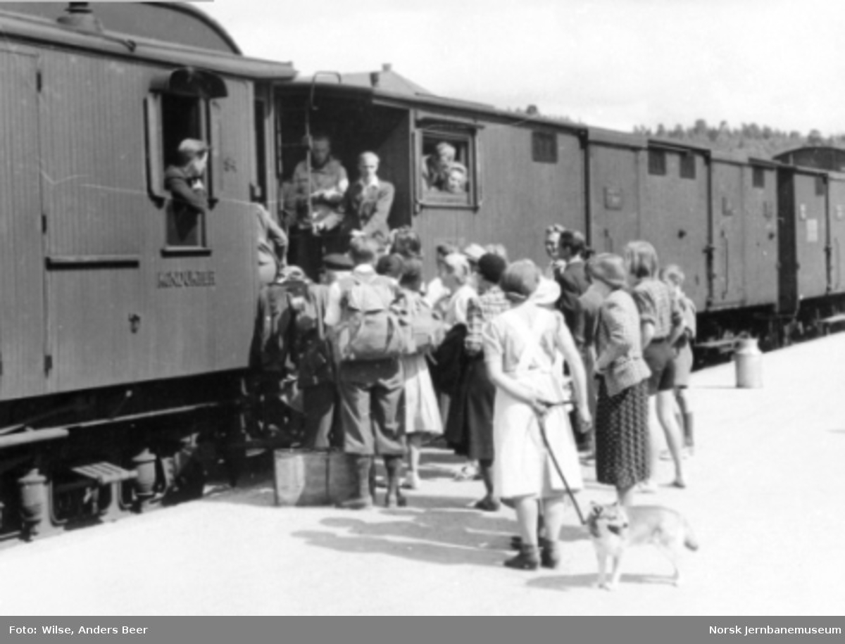 Persontransport reisegodsavdelingen og i godsvogner på Geilo stasjon; kø utenfor
