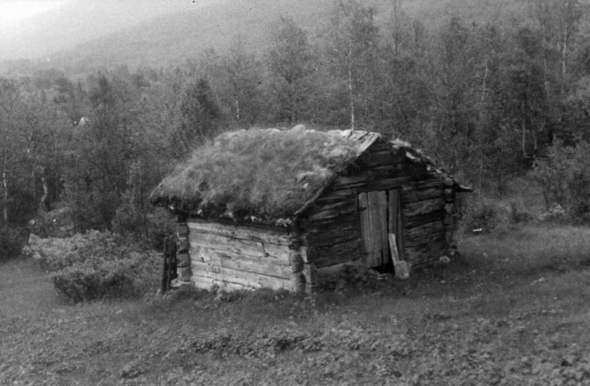 Lite hus, Geilo - Hol - Buskerud. Foto Arne Berg, 1946.
