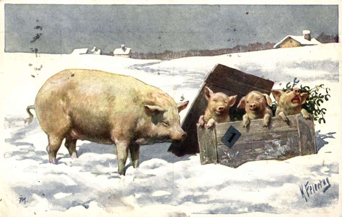 Postkort. Julehilsen. Vintermotiv. Gris med tre grisunger leker i snøen. Illustrert av Karl Feiertag (1874-1914). Stemplet  24.12.1918.