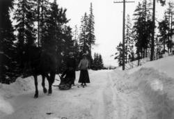 Oslo. 1908-1910. Vintermotiv. Skog. Brøytet vei. To skiløper