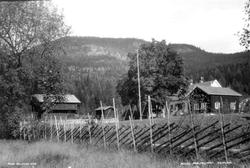 Rollag prestegård, Rollag, Buskerud. 1930. Gårdstun med skig