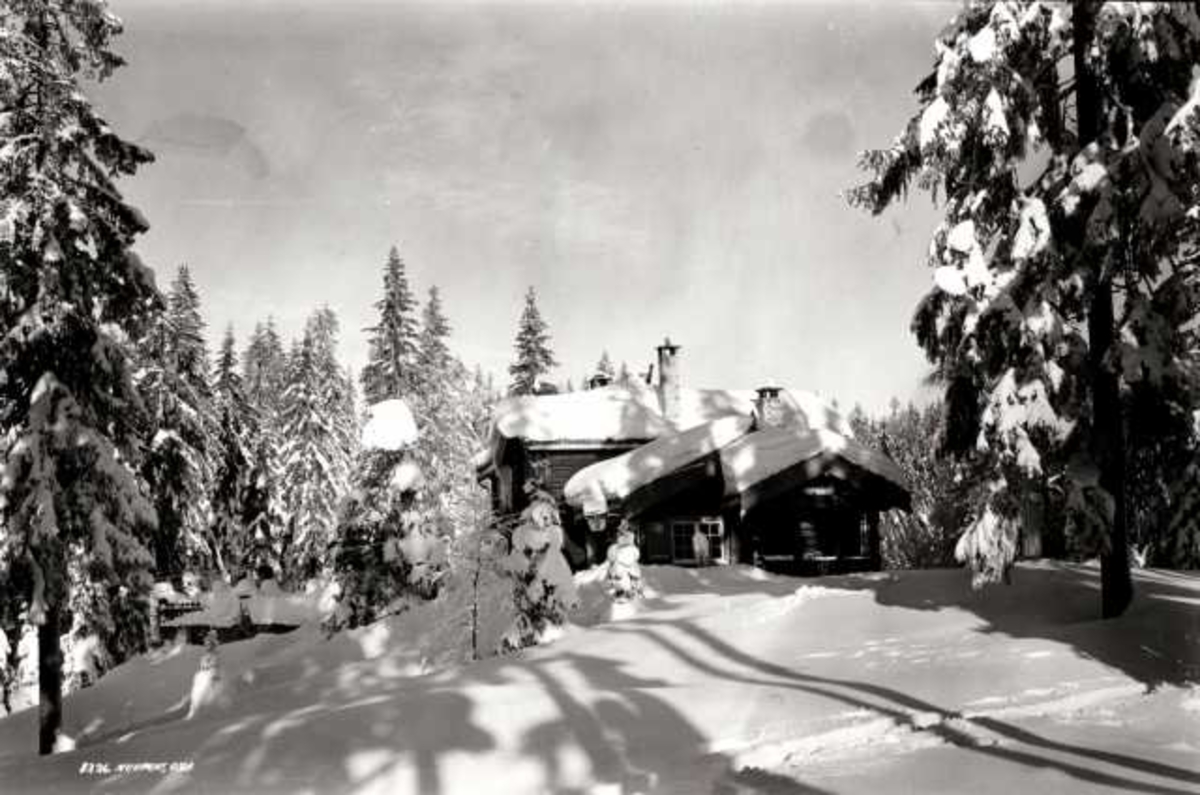 Nordmarka, Oslo. Vinterskog med hytte. Skispor.