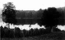 Bogstad gård og Bogstadvannet 1923. Kornstaur i forgrunnen. 