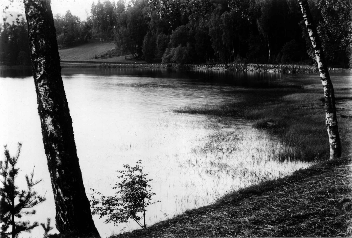 Fra Bogstad ca. 1923. Parken. Fra en vik av Bogstadvannet. Trær.