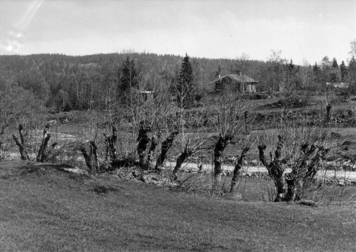 Askekaller med hovedbygningen fra 1812 på Bråtan i bakgrunnen. Sollihøgda 1960.