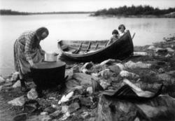 Koking av sik-suppe i strandkanten, en kvinne står ved gryte