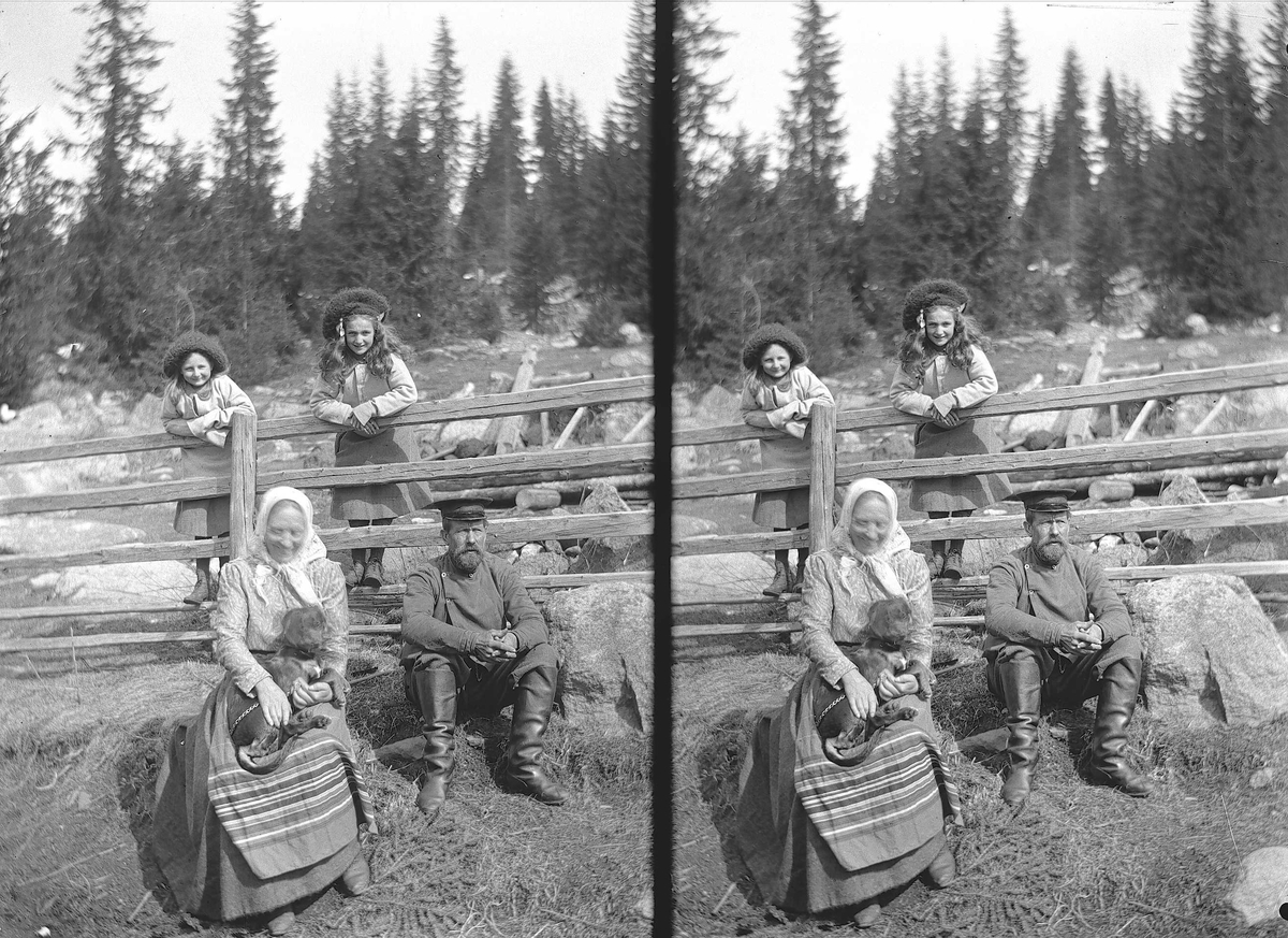 Karen og Gudrun Q. Wiborg, Gulbrand og Lisa med hund ved gjerde på Holoa seter, Hadeland, Jevnaker, Oppland, 1906.