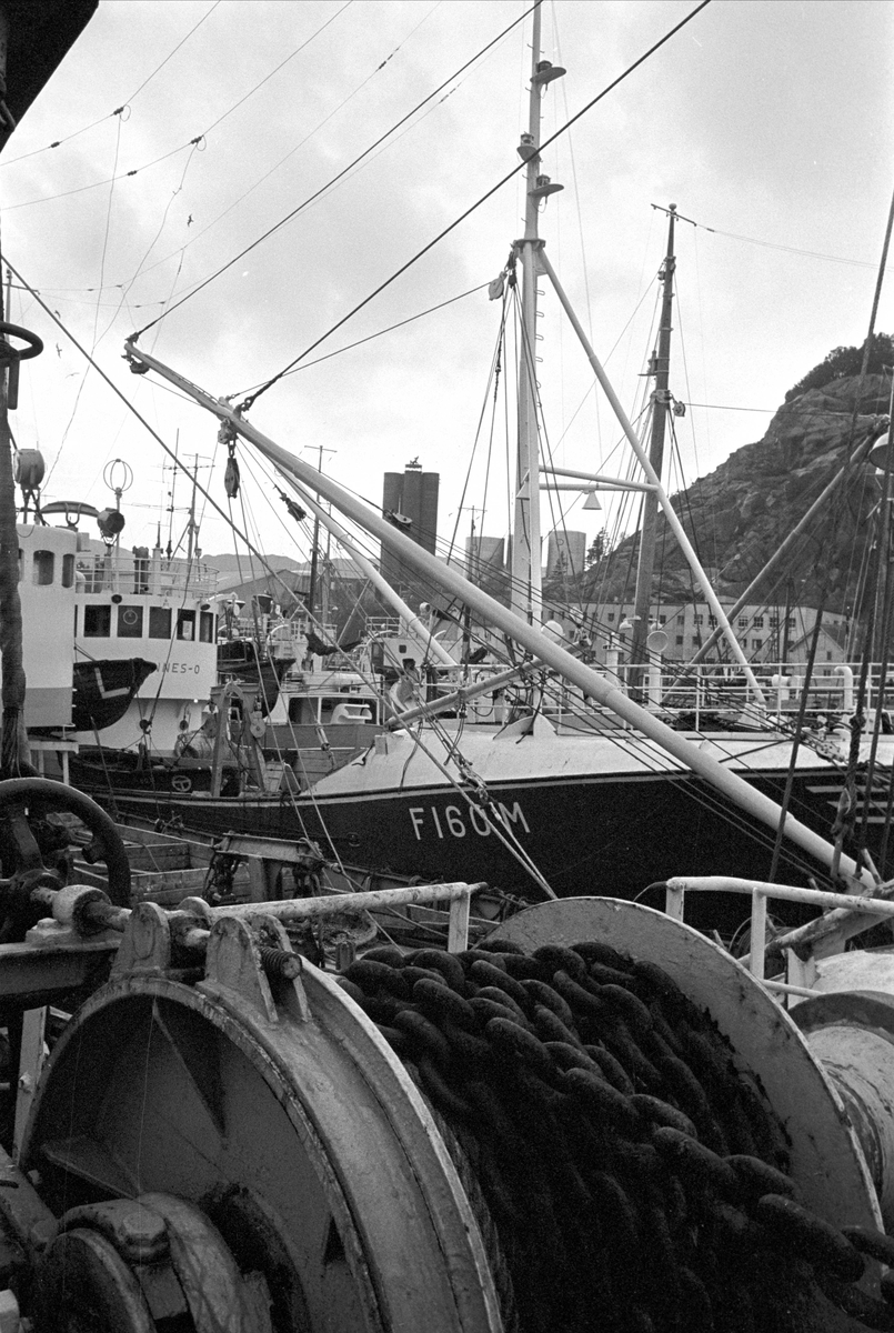 Serie. Fiskebåter ligger til kai, Egersund, Rogaland. Fotografert nov. 1965.